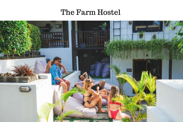 Best Hostel in Bali: A Budget Guide 2024