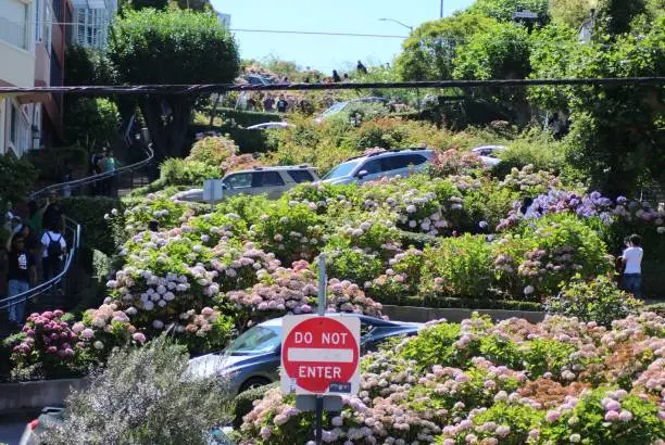 Discover the most Famous 1099 Lombard Street San Francisco