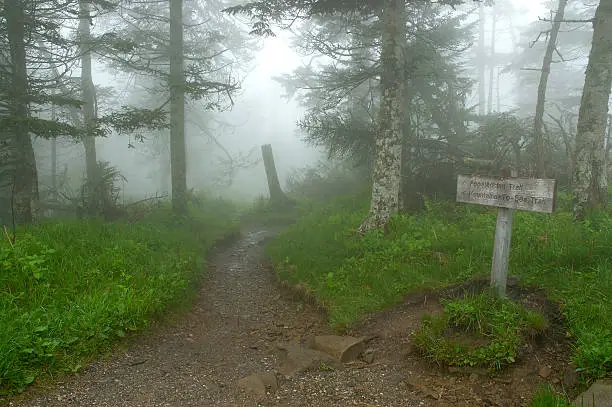 Best Guide to Thru Hiking the Appalachian Trail 2024 | Hike the Appalachian Trail